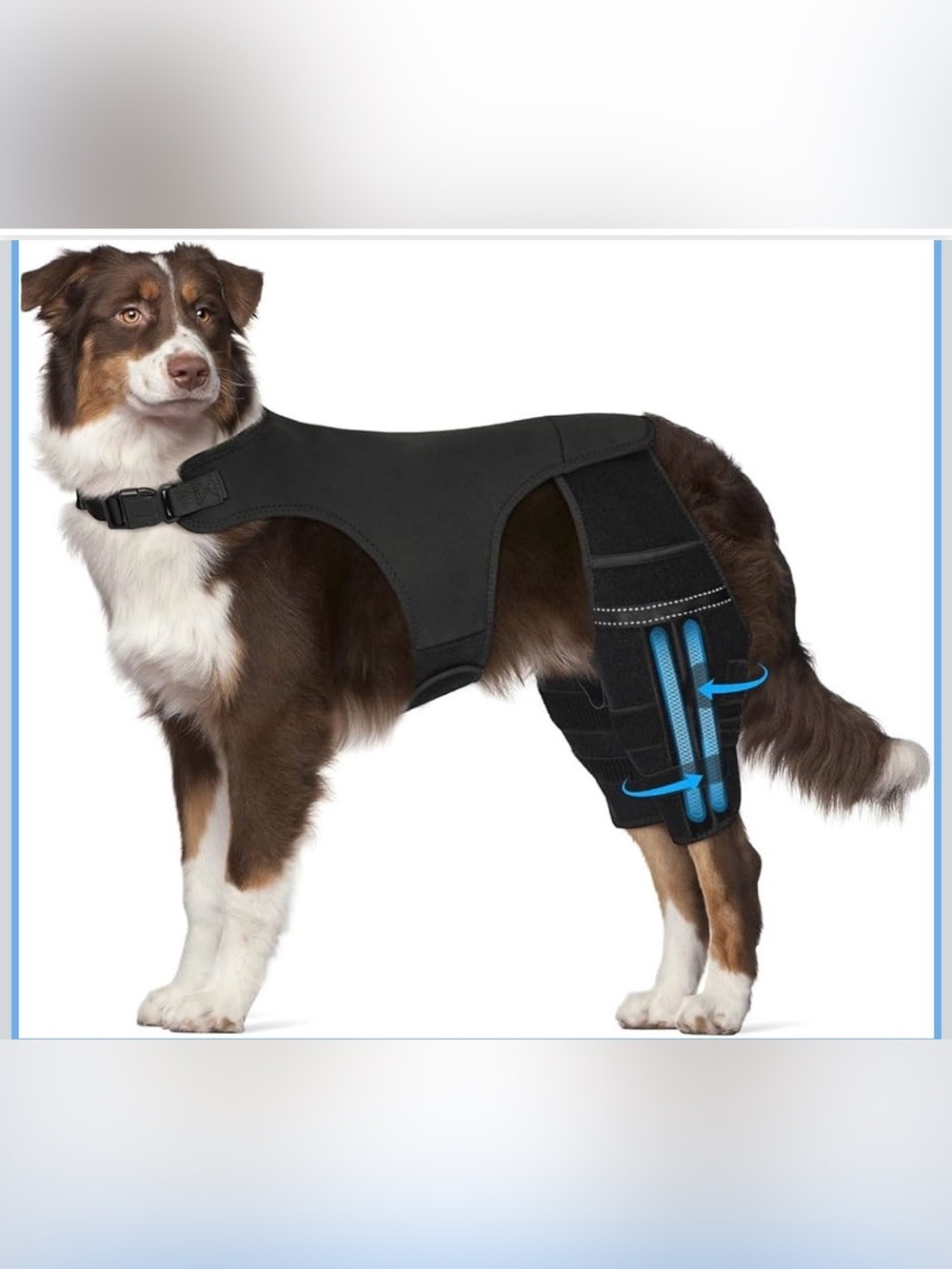 Dog Knee Brace For Torn Acl Hind Leg, 4 Stabilizers Dog Leg Brace L. 2039/DC-1